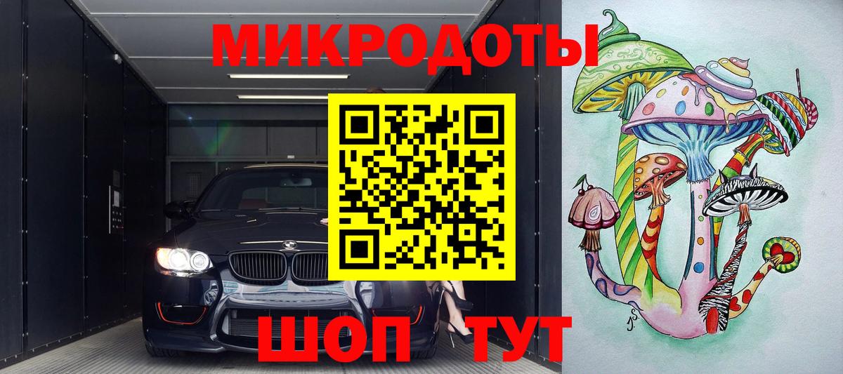Галлюциногенные грибы прущие грибы Кандалакша