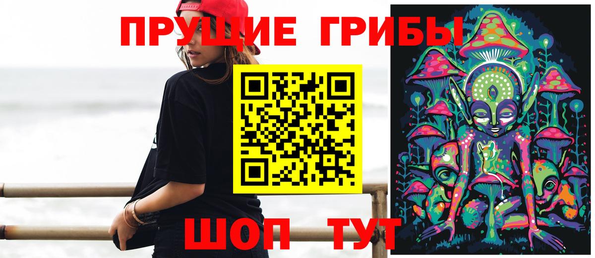 Кандалакша  Галлюциногенные грибы мухоморы  Вход с VPN 